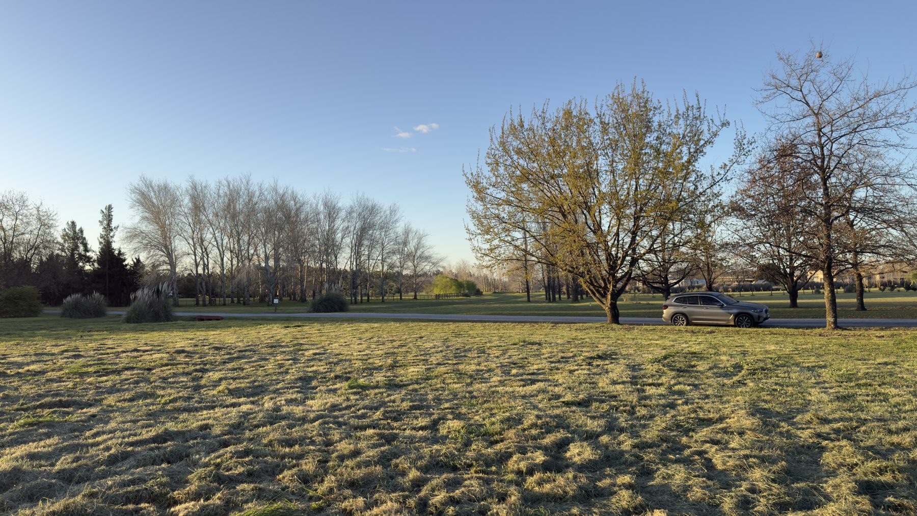 Chacra de 11.000 m² en Estancia La Macarena, con arboleda adulta y privacidad — Foto 1