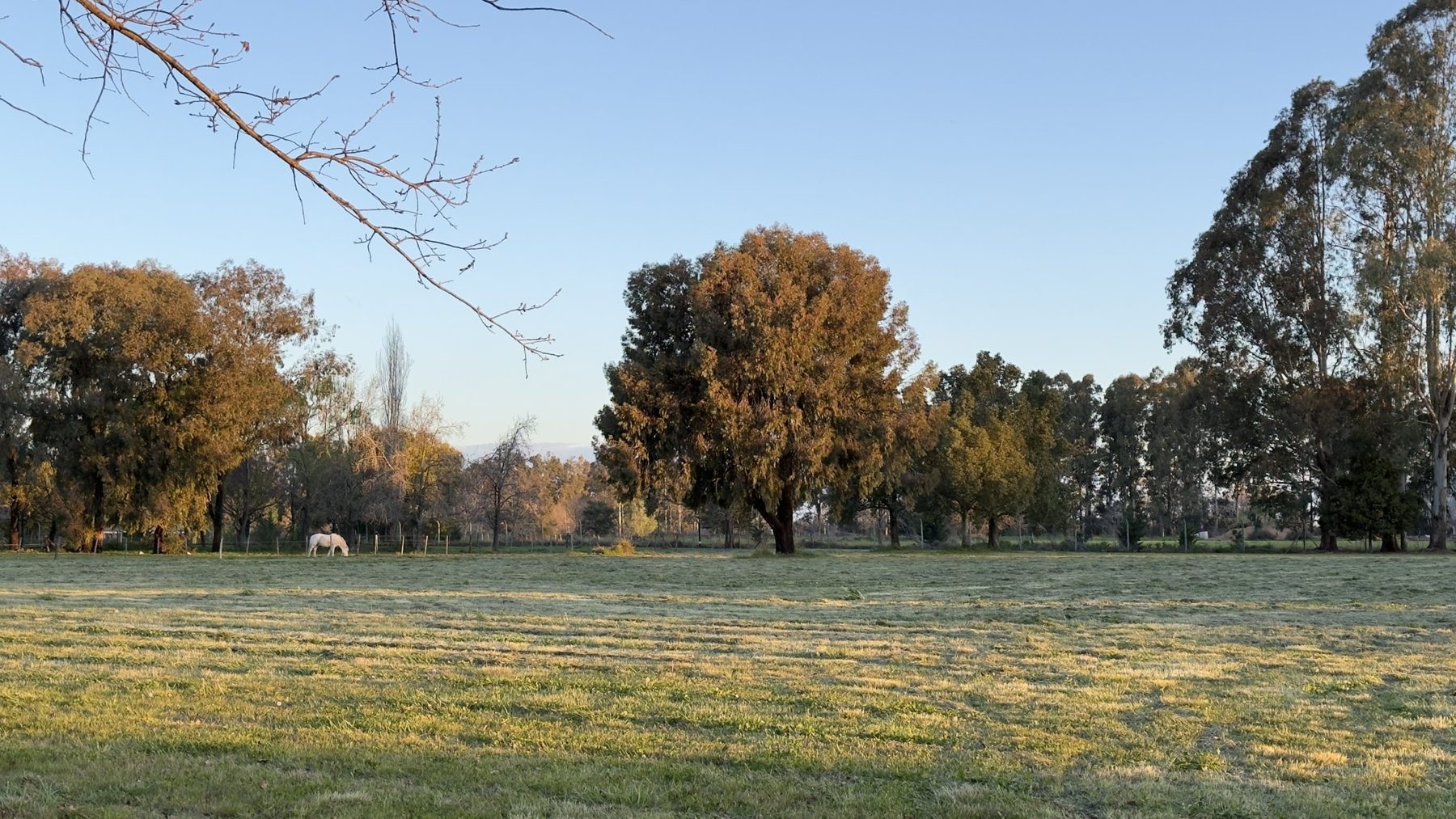 Chacra de 11.000 m² en Estancia La Macarena, con arboleda adulta y privacidad — Foto 2