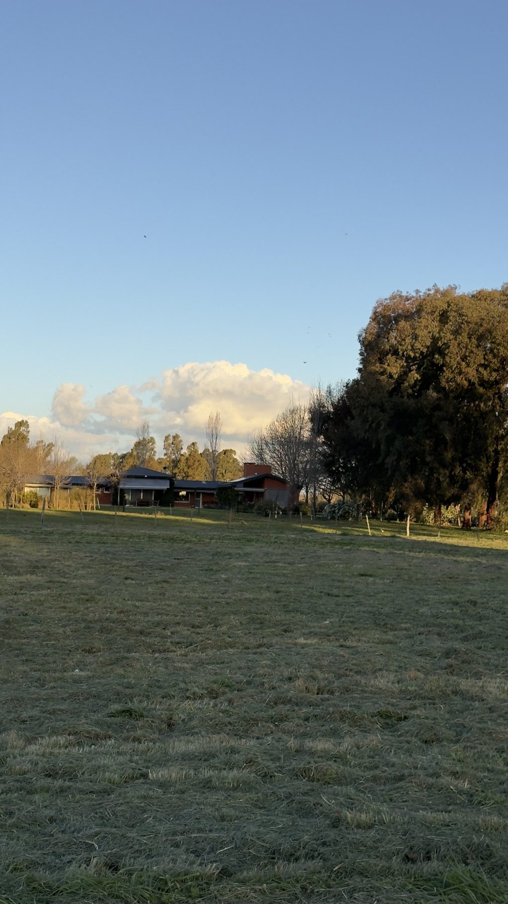 Chacra de 11.000 m² en Estancia La Macarena, con arboleda adulta y privacidad — Foto 5
